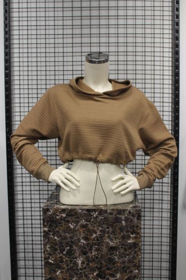 Picture of Petek Material Long Maxi Sleeve Hooded Crop Size Comfortable Kalıp Woman Crop Mink